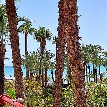 Centrico En 1ª Linea De Playa Con Piscinas Y Jardines شقة تورّيفيِخا