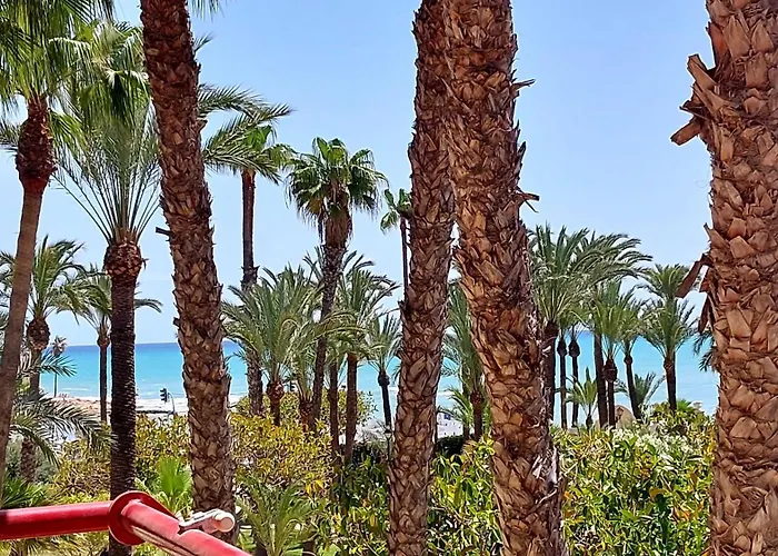 Centrico En 1ª Linea De Playa Con Piscinas Y Jardines 公寓 托雷维耶哈